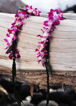 ti leaf and orchid lei